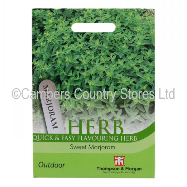 Thompson & Herb Sweet Marjoram Cambers Country Store